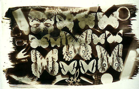 Van Dyke emulsion Print, 1996 -photogram - from transparent acetate overlay and objects.