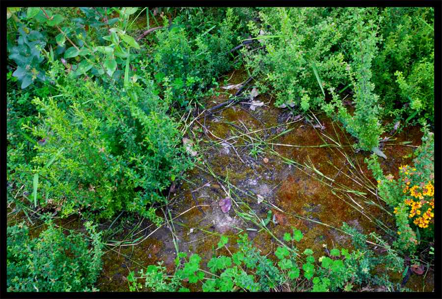 a walk from the Kinglake Rd to the top of the hill