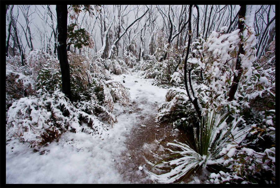 Kinglake in the snow - Oct 16 2010 - Lloyd Godman