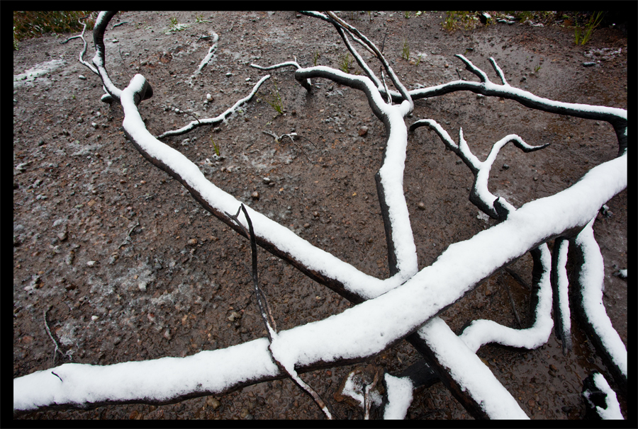 Kinglake in the snow - Oct 16 2010 - Lloyd Godman