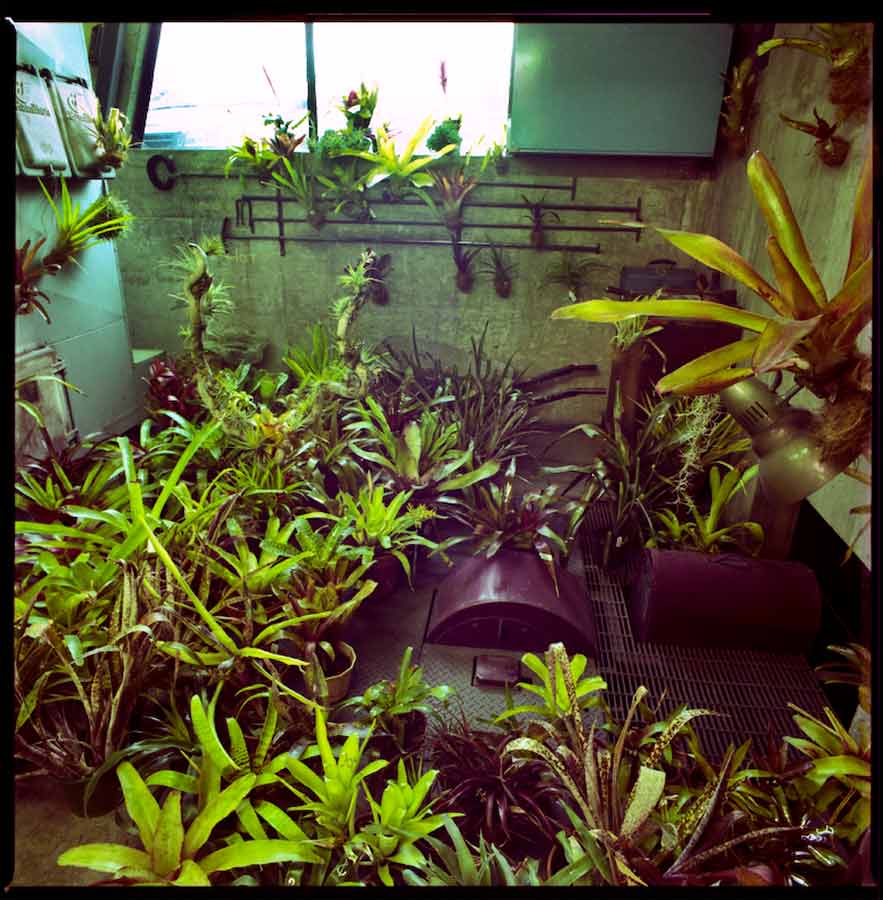 plant room art installation