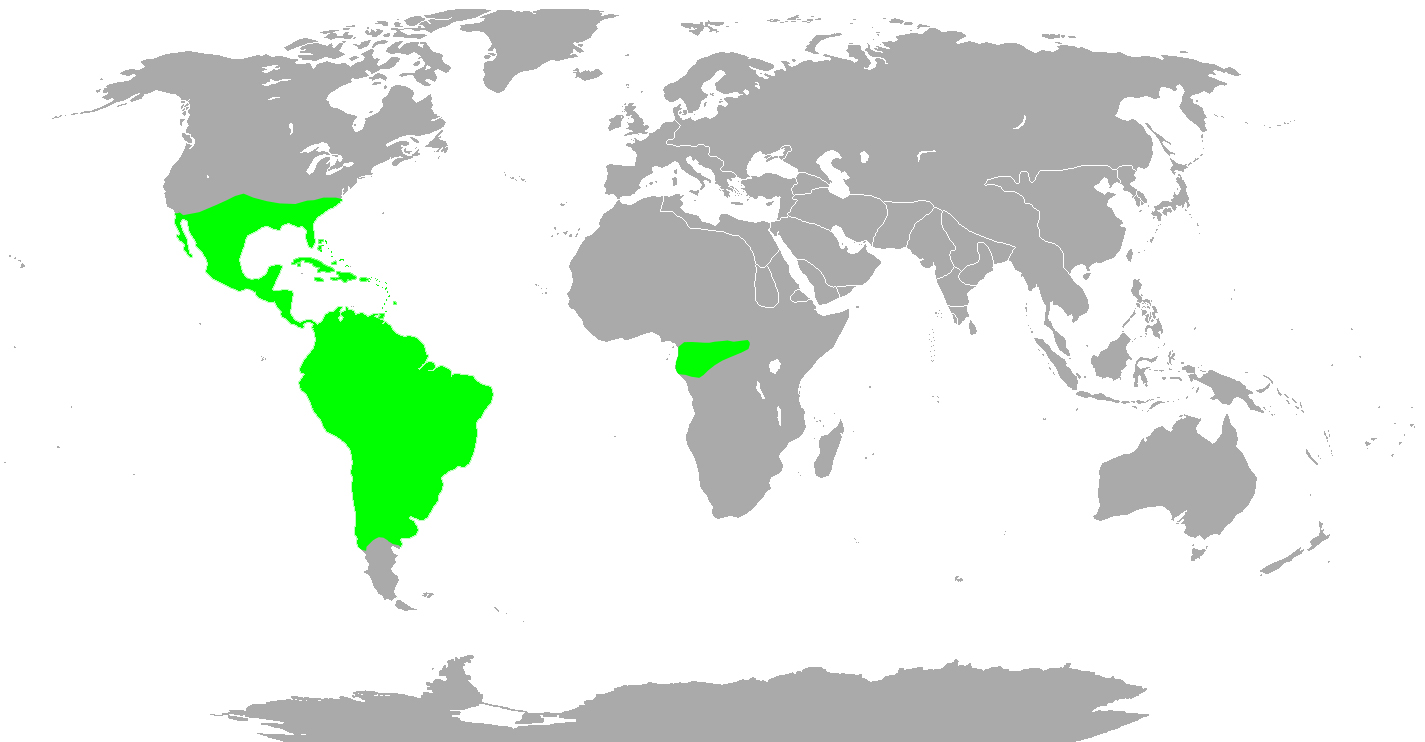 Map of the nartural range of Bromeliads