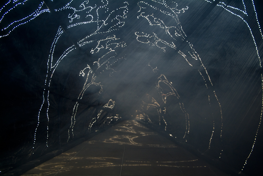 Interior of Carbon Obscura with sun projections - fog beginning to emerge at the back of the tunnel - on the deck outside Photospace Gallery ANU, lloyd godman