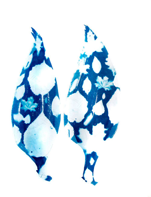 Leaf photogram cyanotype