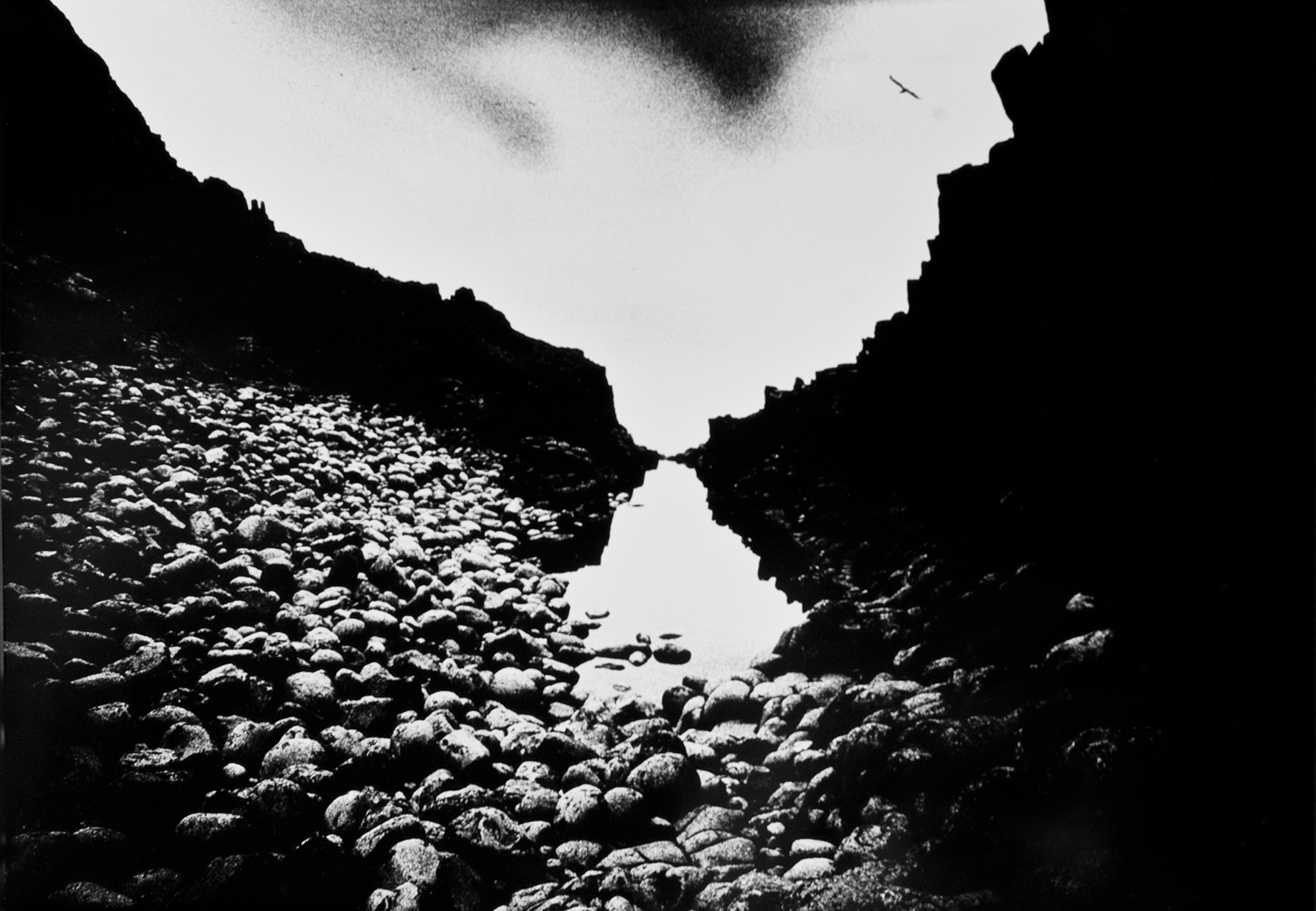 The Hollow Blackhead - photomontage -20" x 24" 1983 - Lloyd Godman 