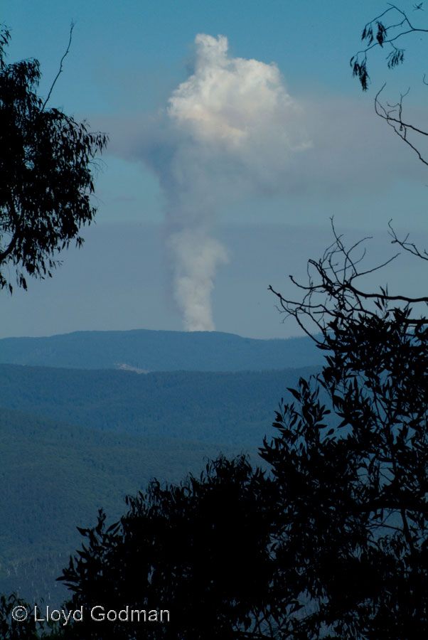Smoke from Bush fire, Victoria, Australia - photograph - © Lloyd Godman