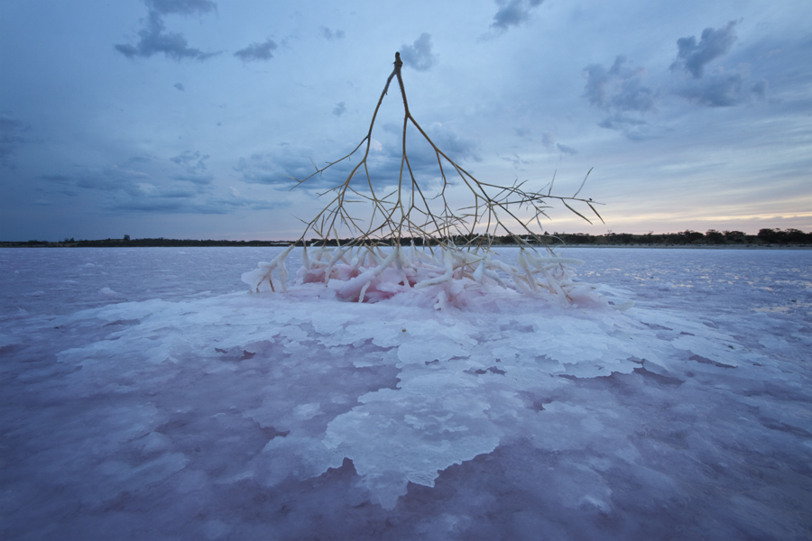 Pink Lake, Victoria, Australia