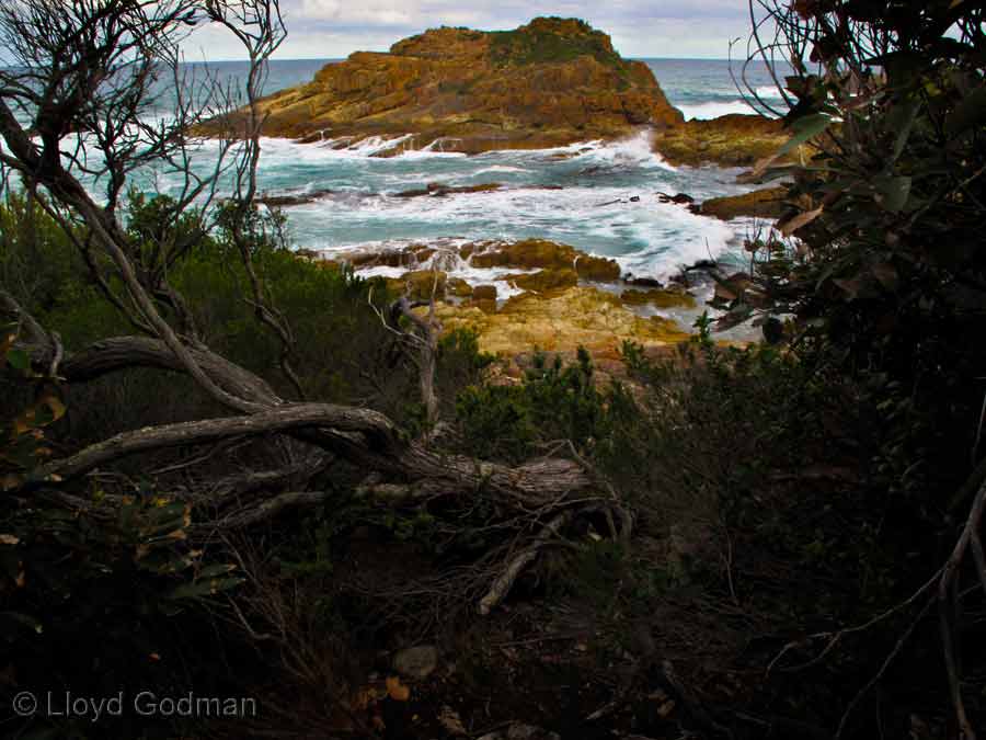 Mimosa Rocks, NSW, Australia