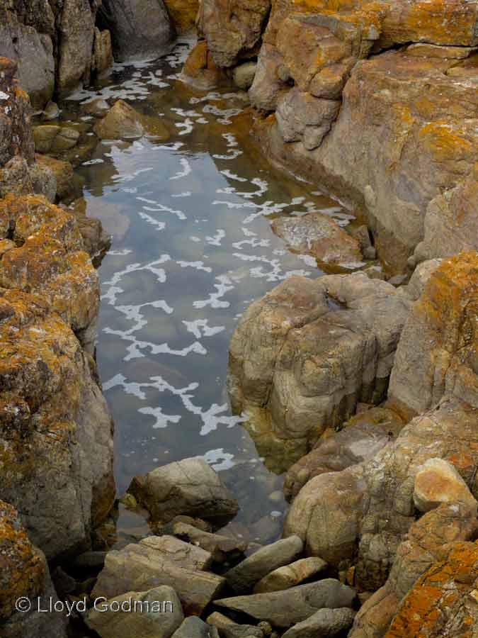 Coastal rock pool, Mimosa Rocks, NSW, Australia