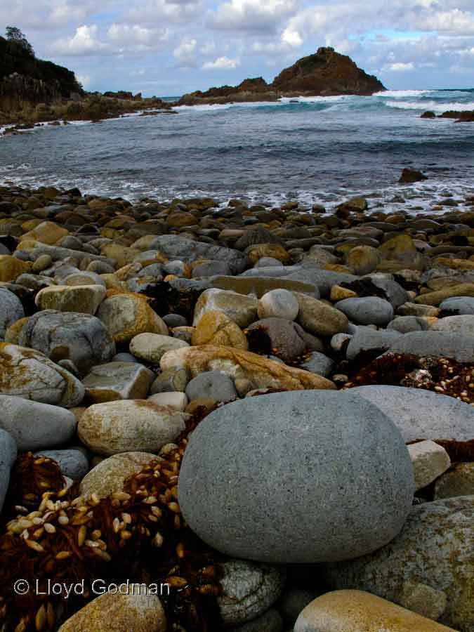 Coastal rock, Mimosa Rocks, NSW, Australia
