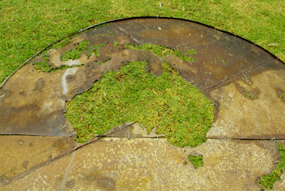 Lloyd Godman discarded corrugated iron water storage tank lid - grass