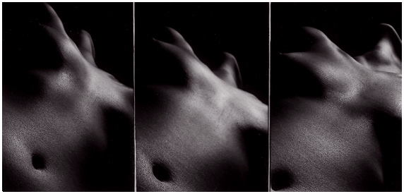 Nude photograph 254-7, Lloyd Godman